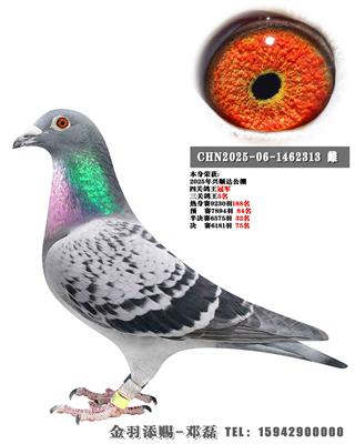 2025����˳�﹫���Ĺظ����ھ�