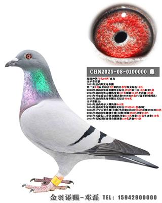 2024�꿪������18��ȫƽ��