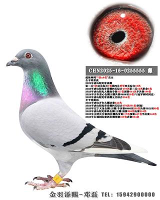 2024�꿪������18��ȫƽ��