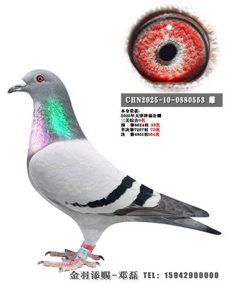 2025��򸣹��������ۺ�9��