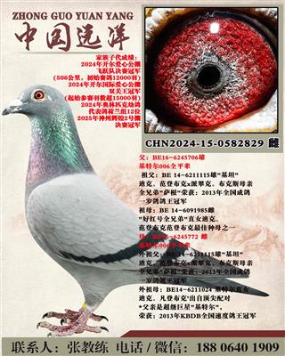 ���ض�006ȫƽ������