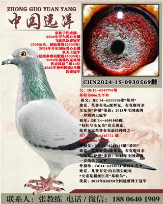 ���ض�006ȫƽ������