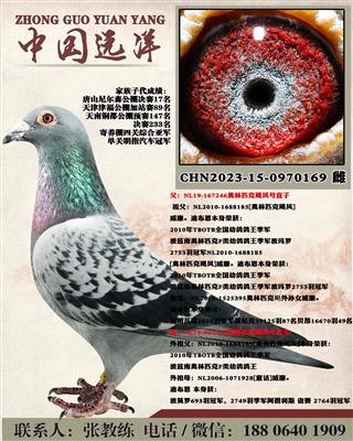 ����ƥ��쫷��ֱ��x쫷��ֱŮ