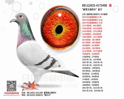 ����ѩ�����ض���ֱ��