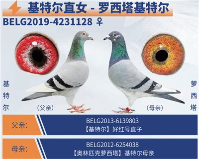 ���������ض������ض�ֱŮ