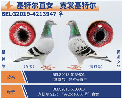 ���ѻ��ض������ض�ֱŮ