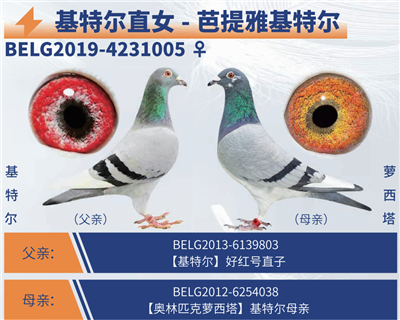 �����Ż��ض������ض�ֱŮ