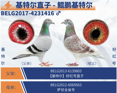 �������ض������ض�ֱ��