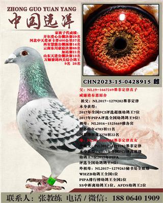 ī�ƶ���ֱ��xī�ƶ���ֱŮ