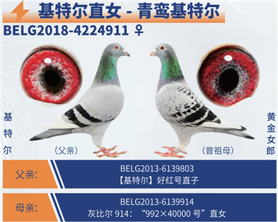 �����ض������ض�ֱŮ