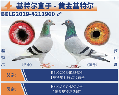 �ƽ���ض������ض�ֱ��