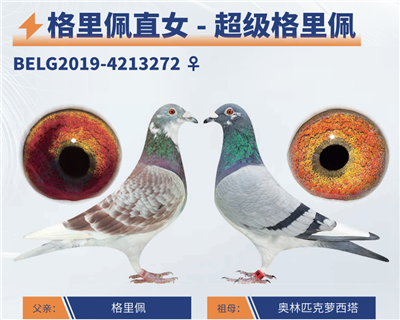 ���������壺������ֱŮ