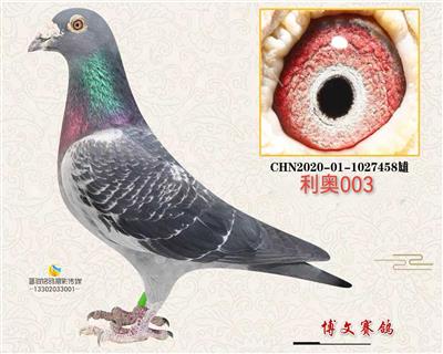 ������458