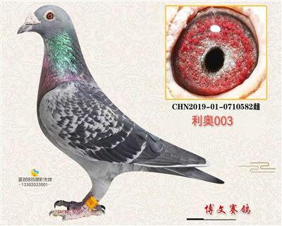 ������582