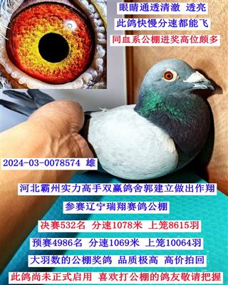 ���ָ���ԡ�