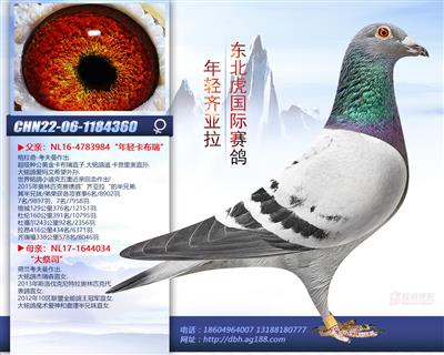 ���p�R����