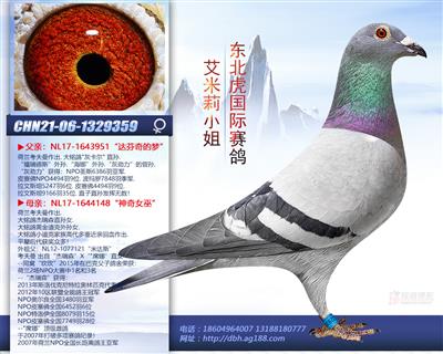 ������С��