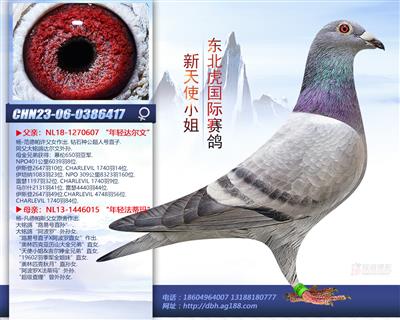 ����ʹС��