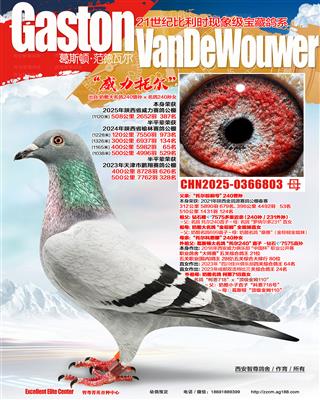 �����ж�