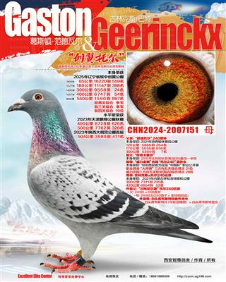 �����ж�