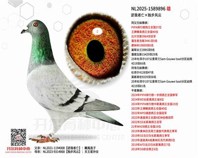 �������������������ơ����Z�L��