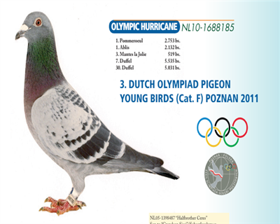 ������ƥ���Z�L�����޺����游