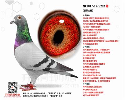 ��ī�ƶ��ɡ�