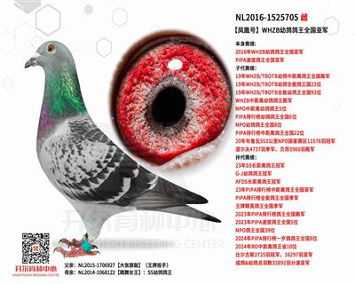 ����˺š��������ֱŮ