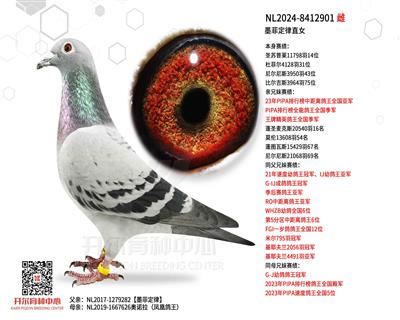 ī�ƶ���ֱŮ