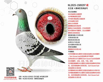 �������� ������ƥ�˴���š���������ֱŮ