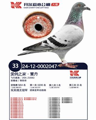 δ������