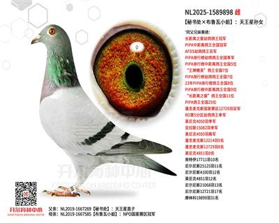 �����鴦����³��С�㡿����������Ů