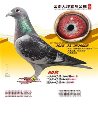 ���ϴ������蹫��