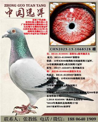 ���ض�ֱ��x���ض�ֱŮ