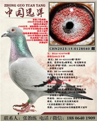 ���ض�006ȫƽ������