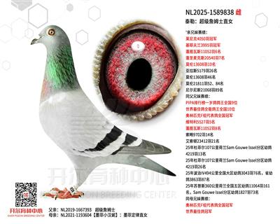 ̩�գ�����(j��)ղķʿֱŮ