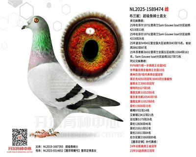 ���m�ݣ�����(j��)ղķʿֱŮ