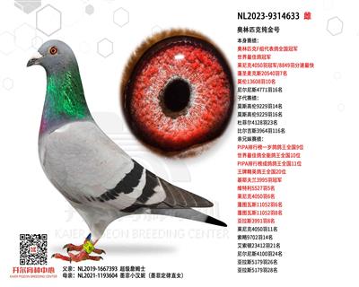 ���W��ƥ�˼���̖(h��o)��ī����OŮ