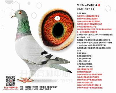 �~�P��������̖(h��o)ֱ��