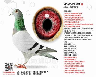 ���ӵϣ�����̖(h��o)ֱ��