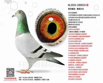 ī���Z�L(f��ng)���Z�L(f��ng)�OŮ