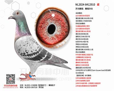 �����Z�L(f��ng)���Z�L(f��ng)�OŮ