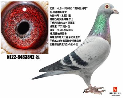 �������ֱ̖��