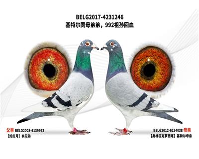 ���ؠ�ͬĸ�ܵ���992��O��Ѫ