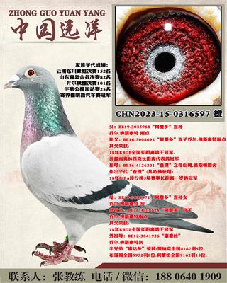 ������ֱ��x������ֱ��Ů