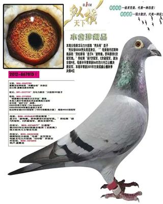 ����ͺͷ����