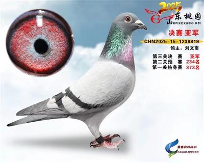 �λ�����