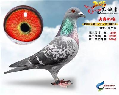 �λ�����