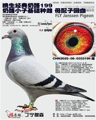 ����С�ӻ����ִ� ĸ���ӻ�Ѫ