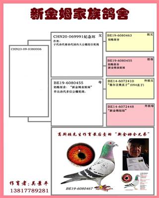 Ѫ�y(t��ng)��